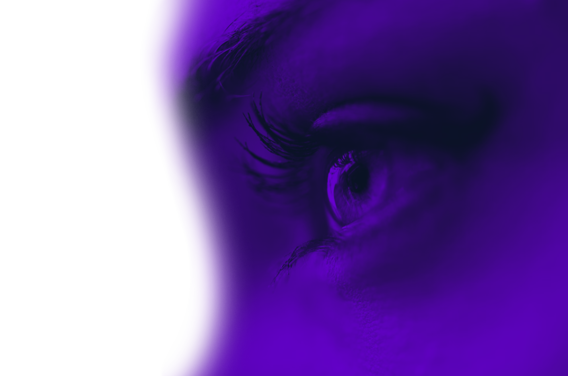 Visual standards mockup - human eye detail
